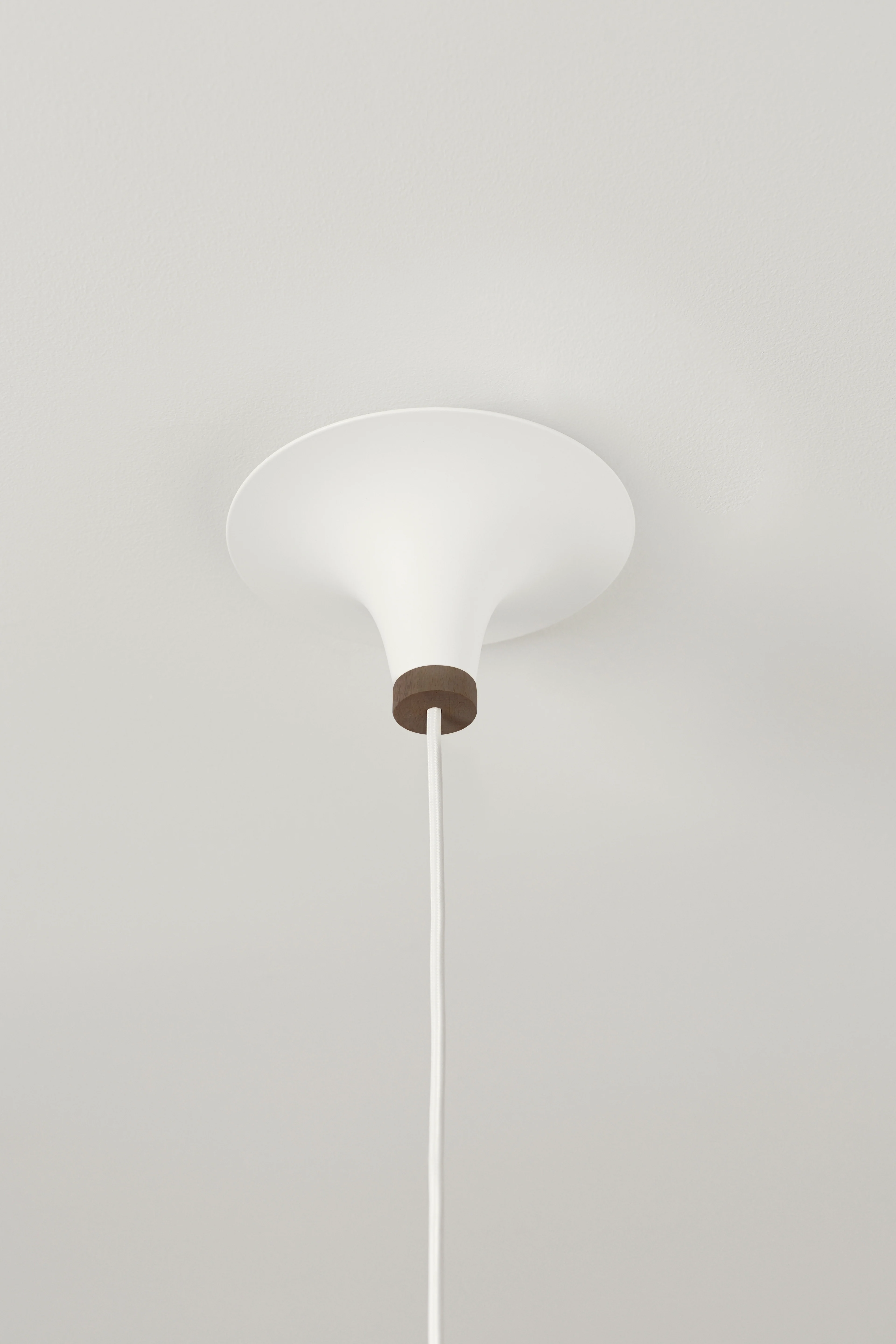 Acorn pendant lamp - Image 19