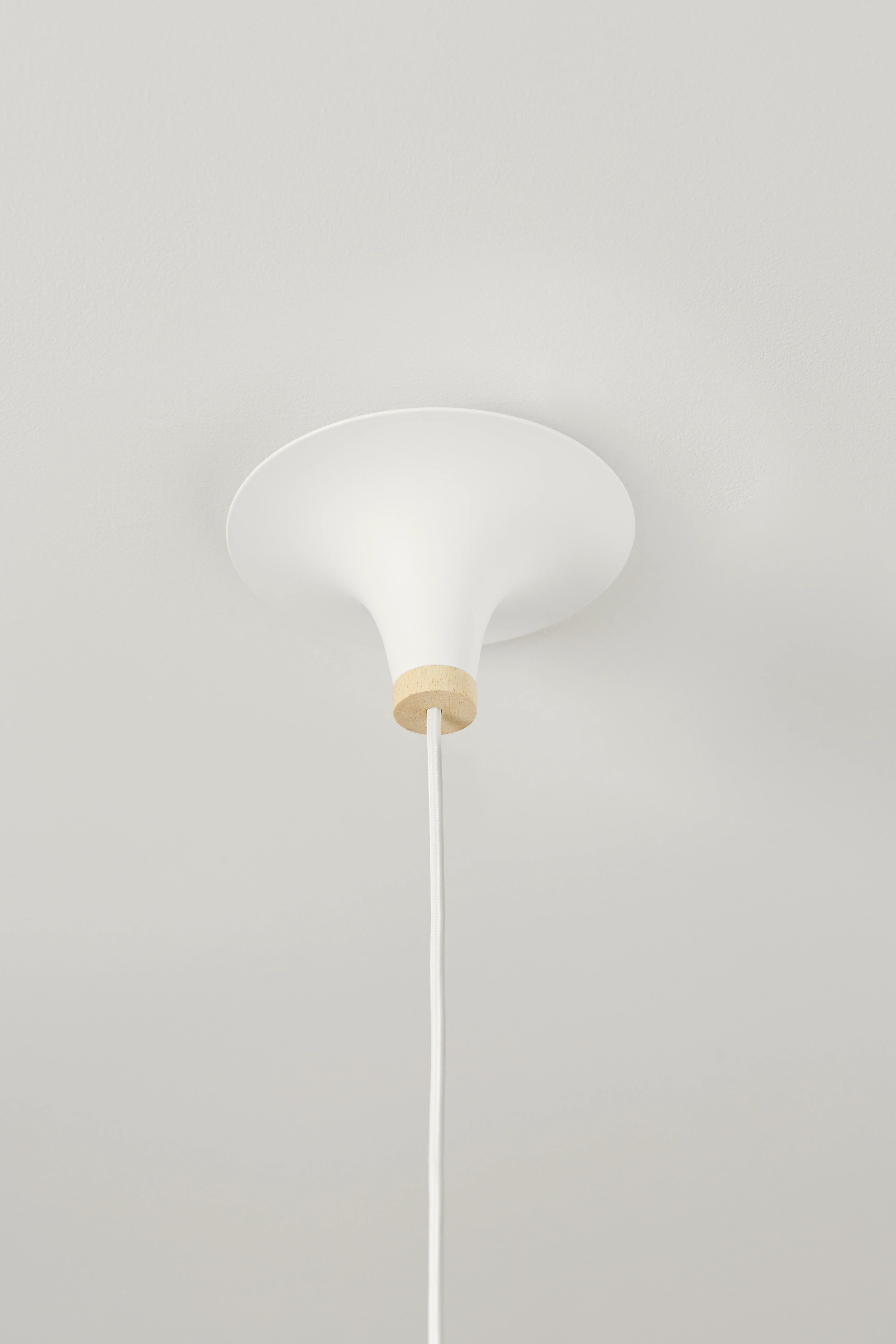 Acorn pendant lamp - Image 20
