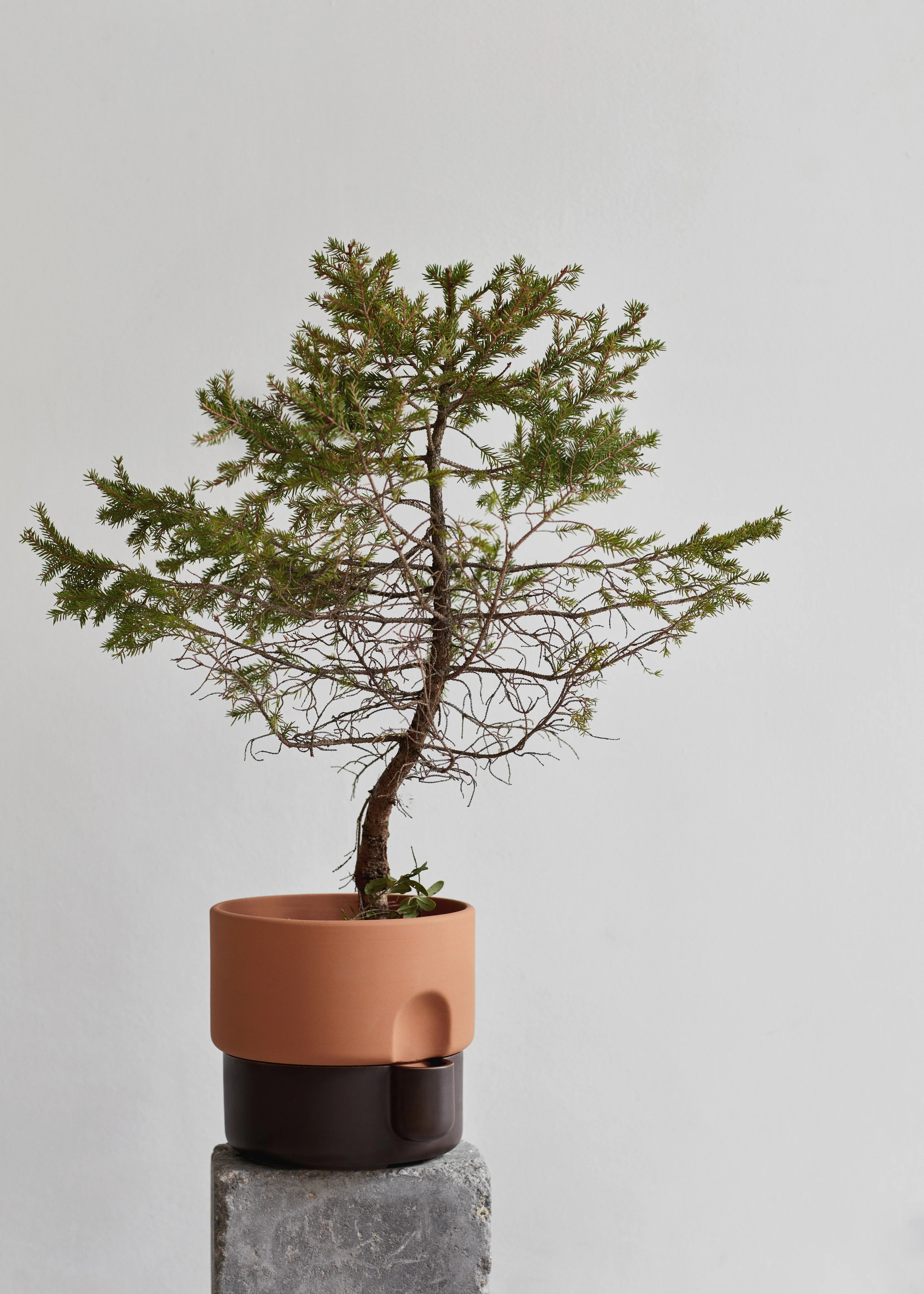 Oasis flowerpot medium - Image 4