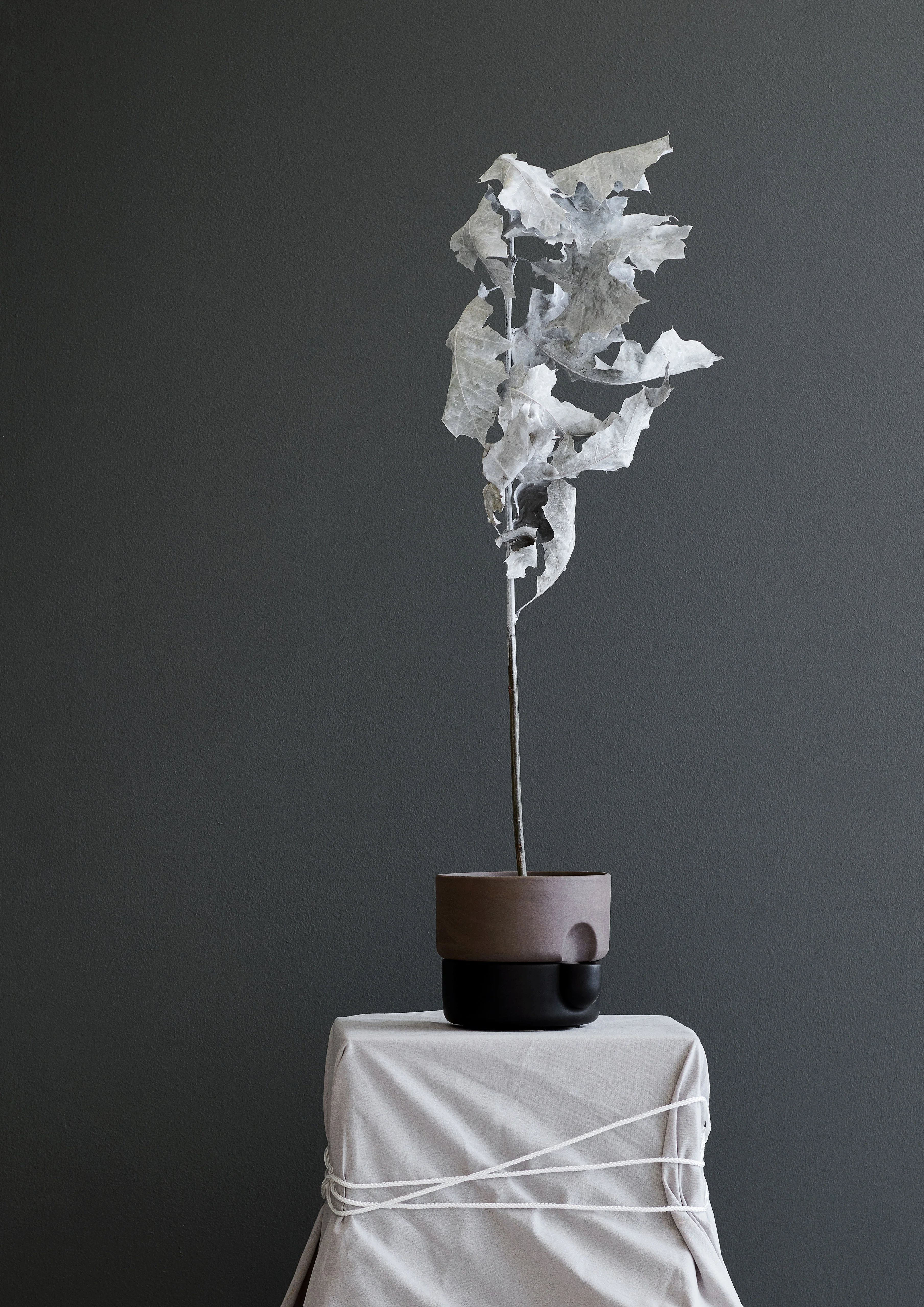 Oasis flowerpot small - Image 3