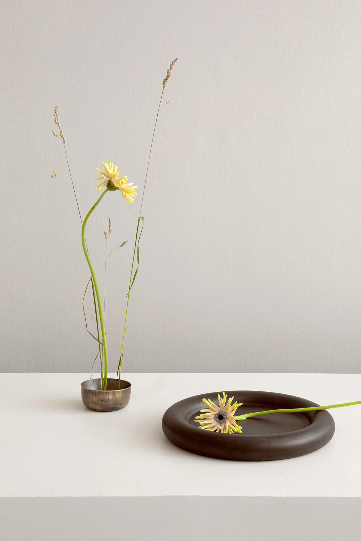 Observe tray - Image 3