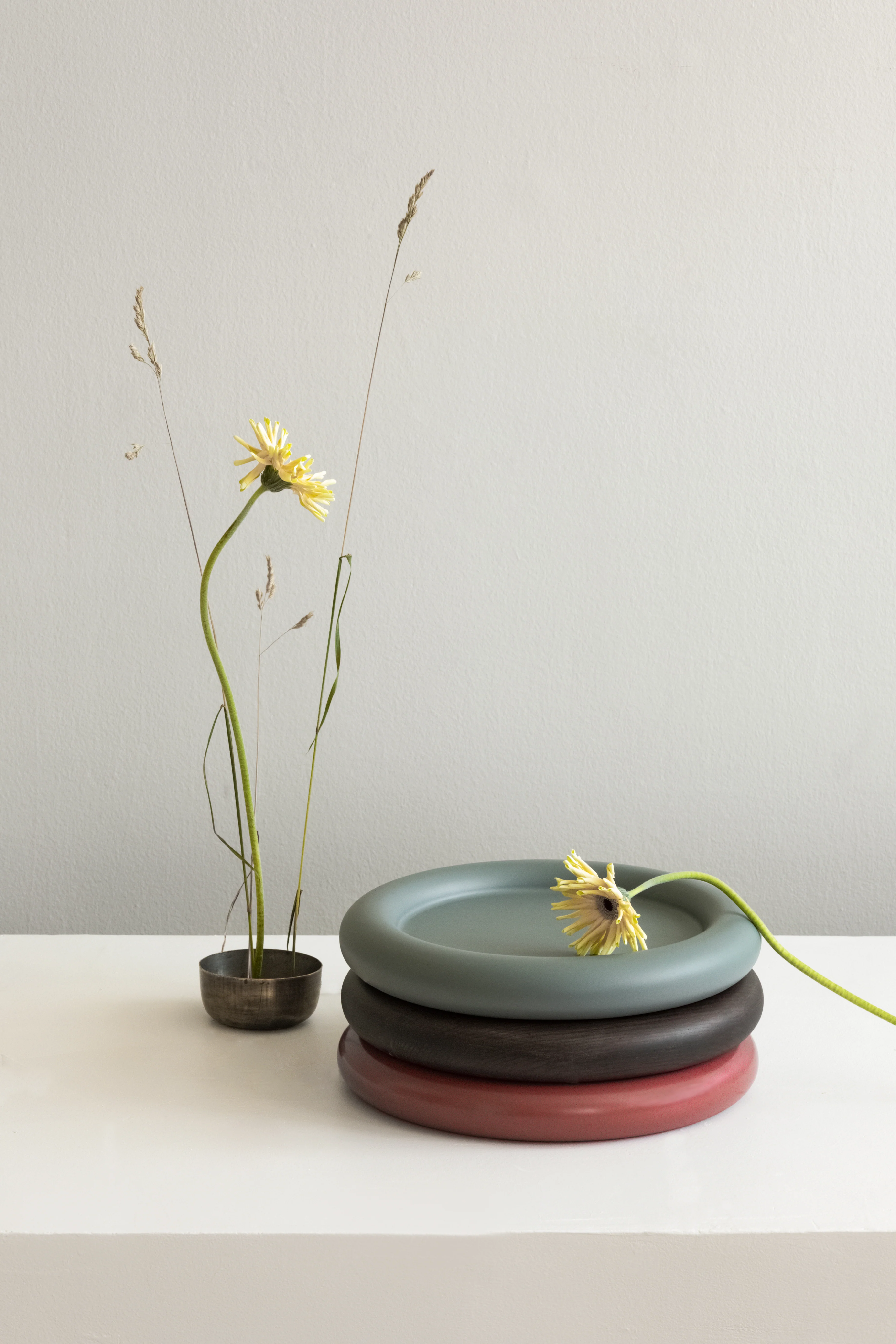 Observe tray - Image 4