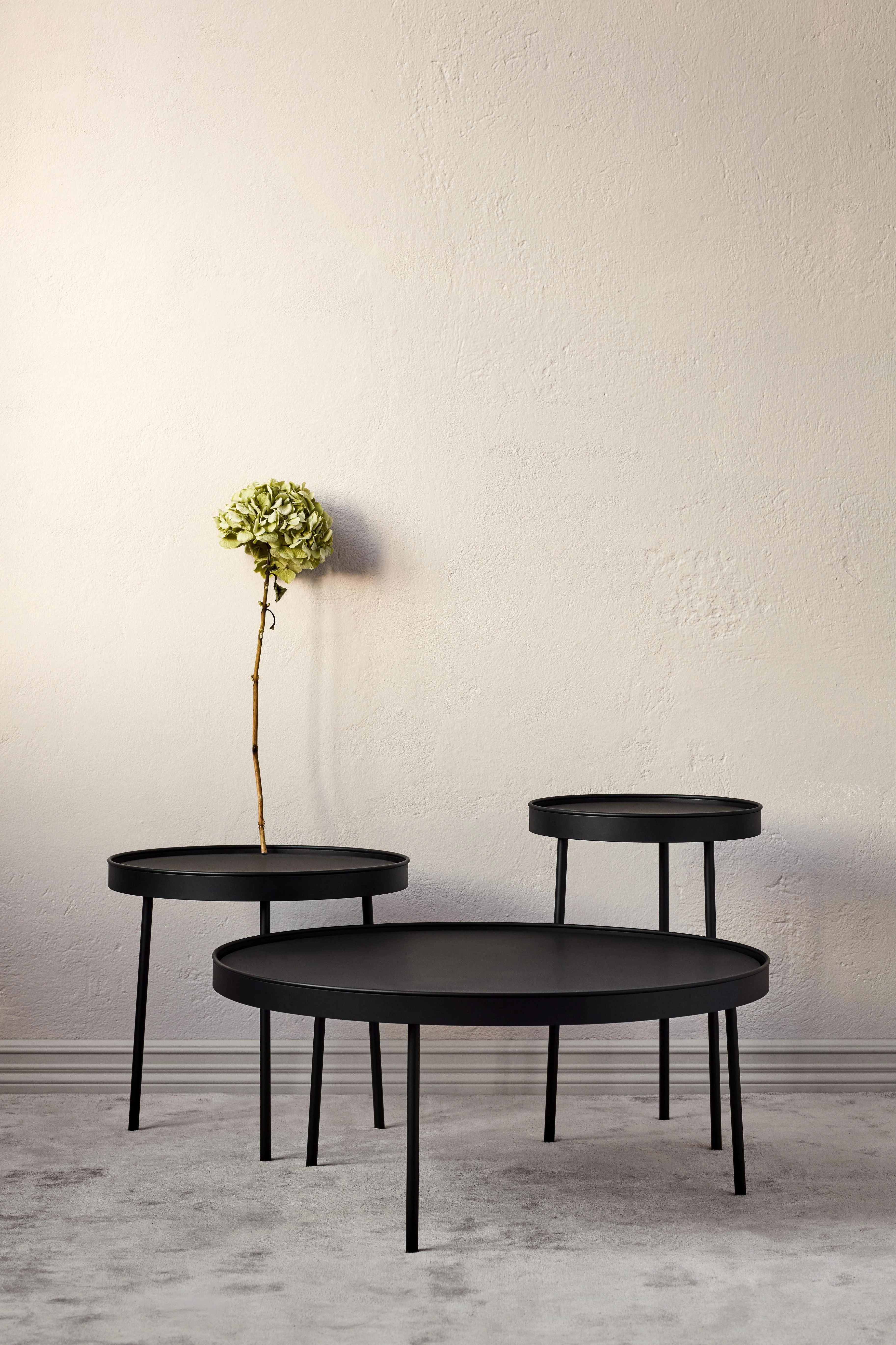 Stilk black - Image 28